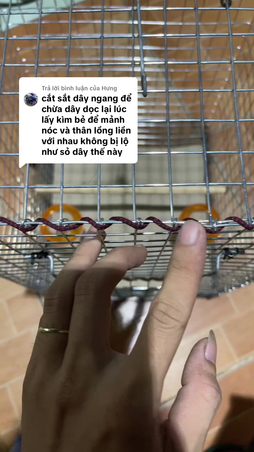 @fb: trương quốc kh&aacute;nh🐍