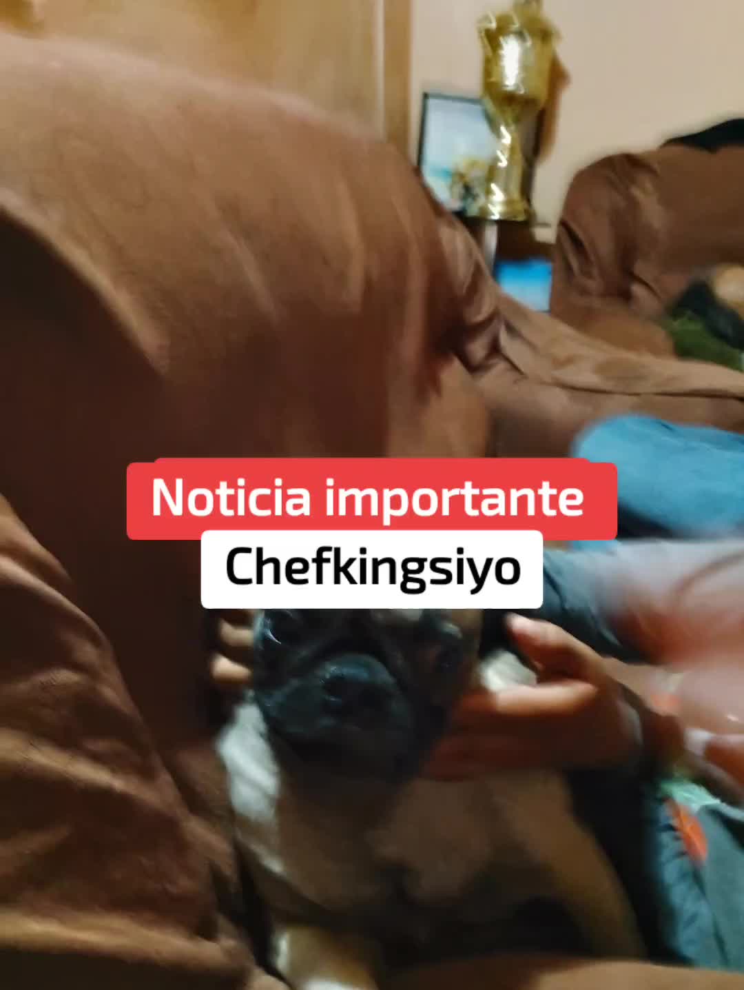@Lula