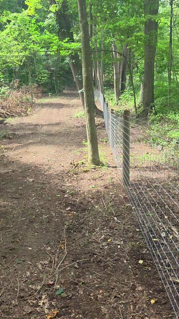 @Hickory Nut Fencing