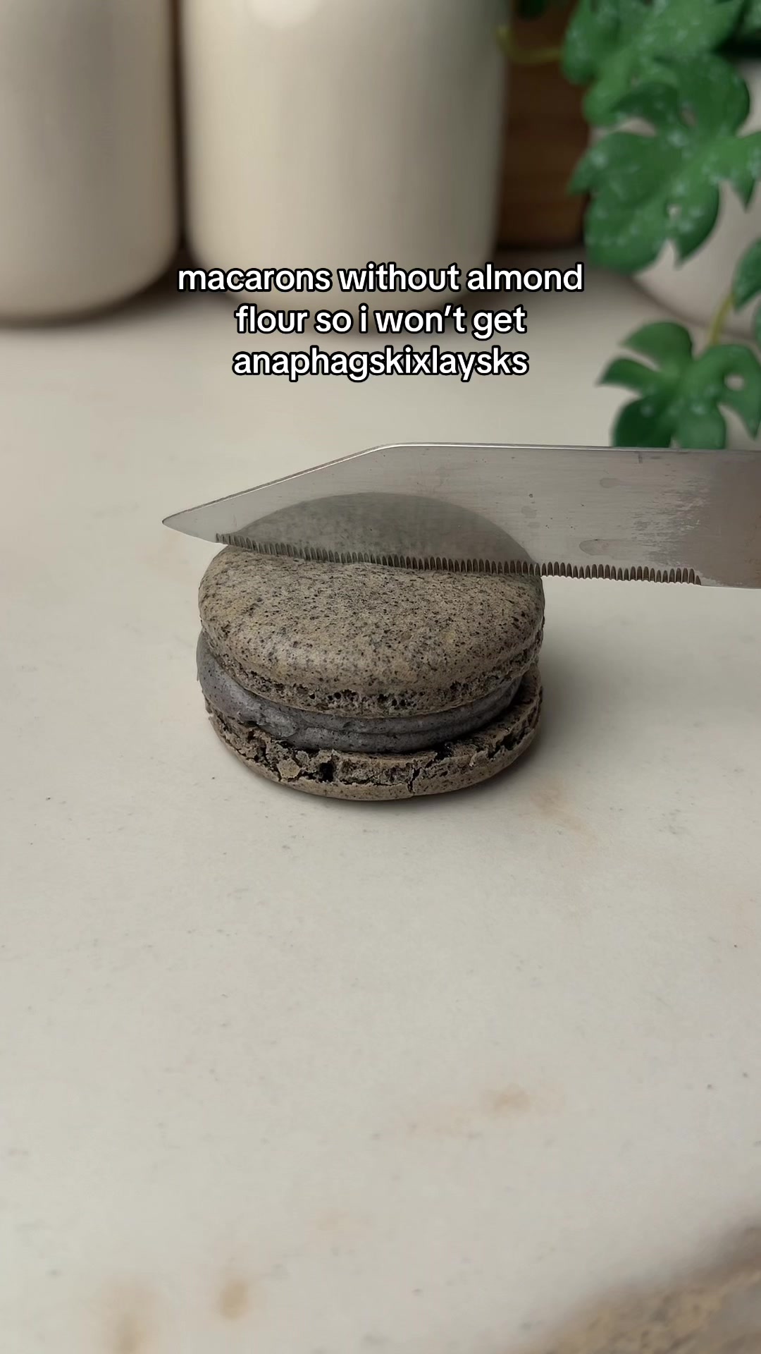 @taramisu