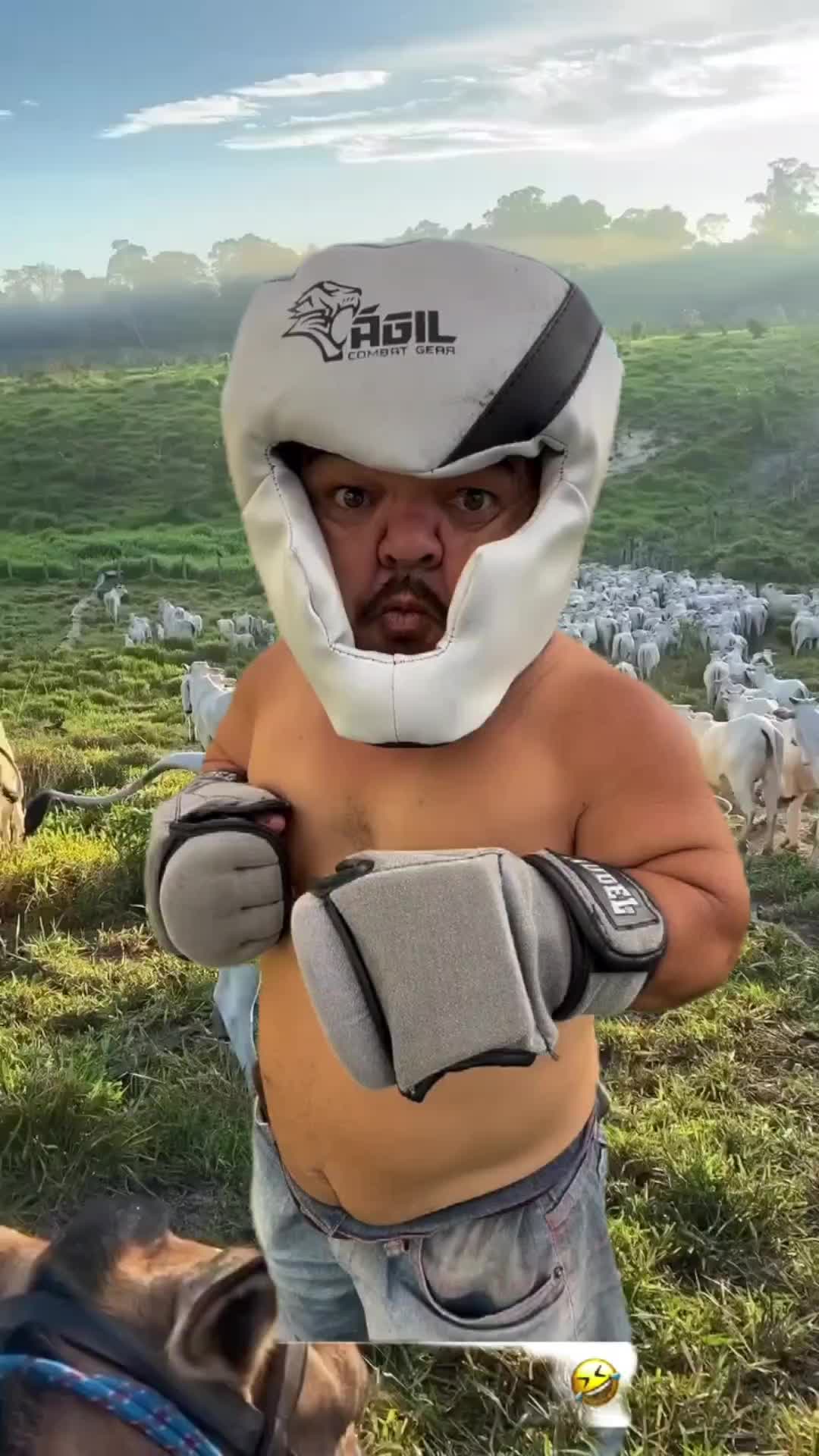 @PILILIU