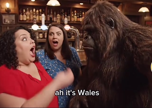 @Scottish memes