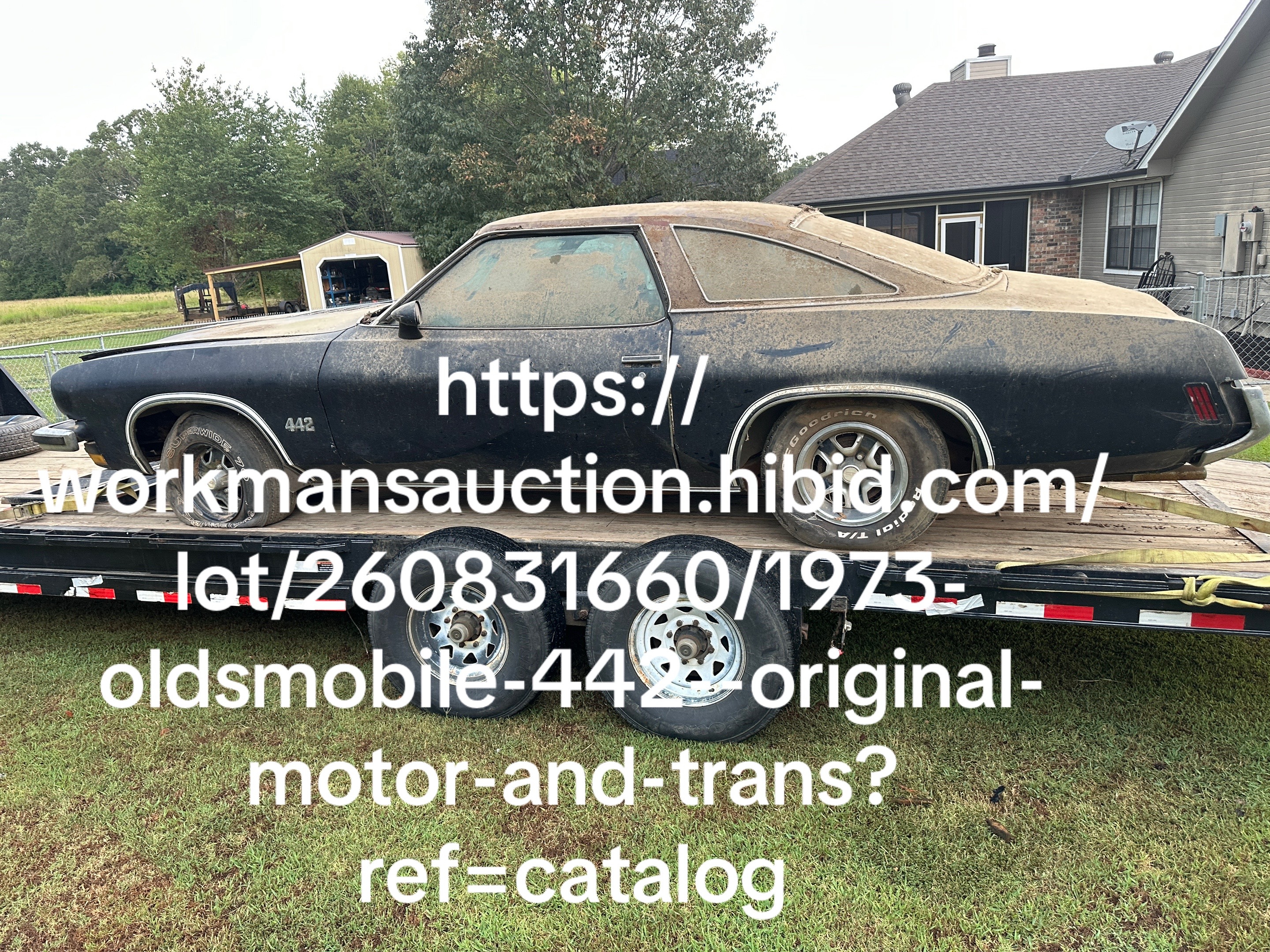 @Auctionmedic