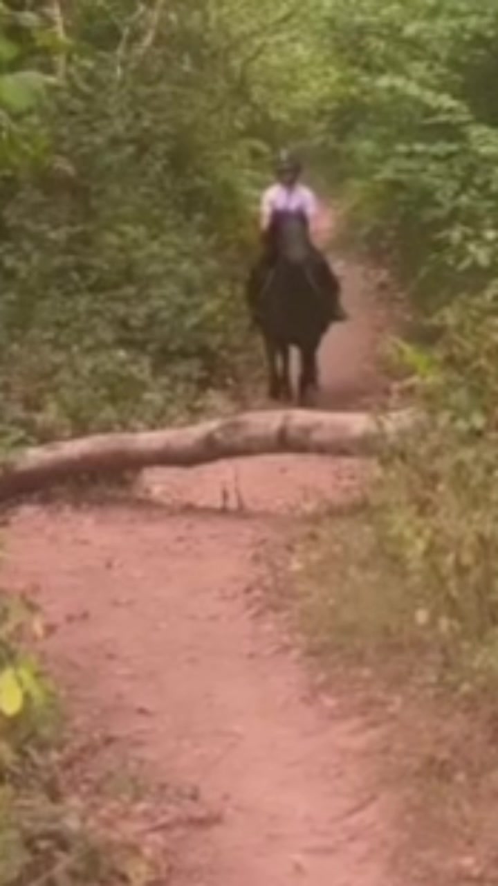 @poppy🐴 🇬🇧