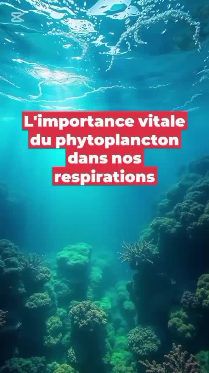 @Aqua Curiosités