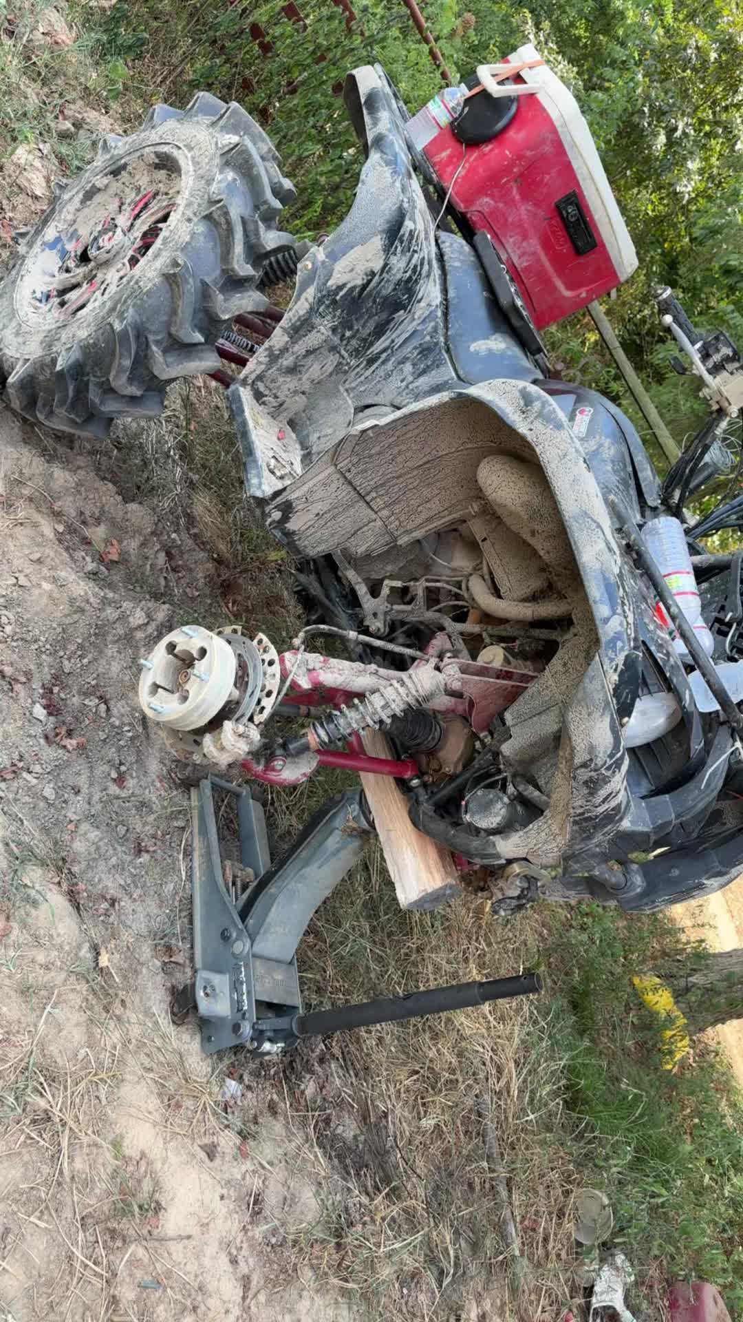 @That_big grizzly 700🤤🤙🏼