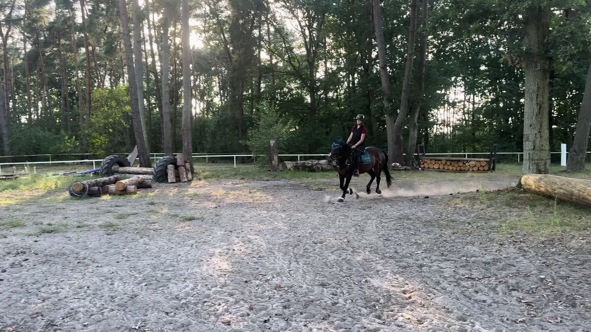 @springpony_donar