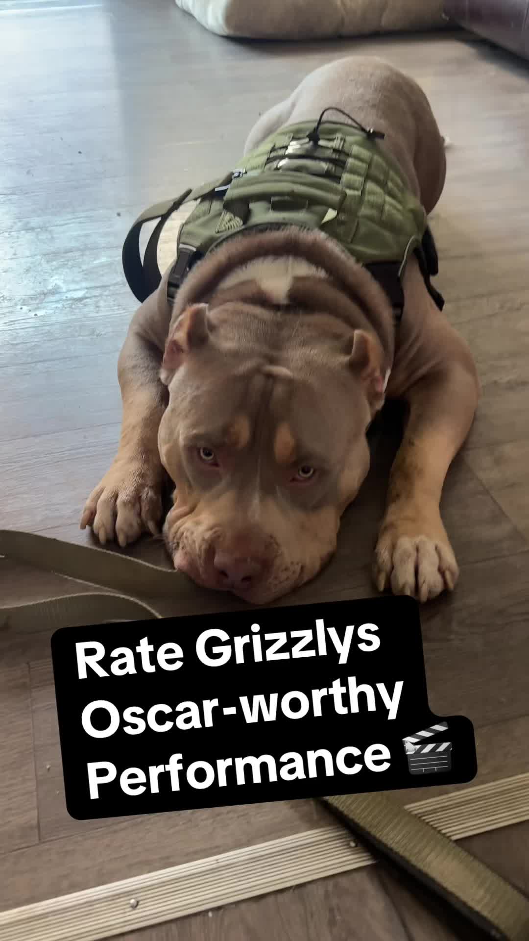 @Grizzly