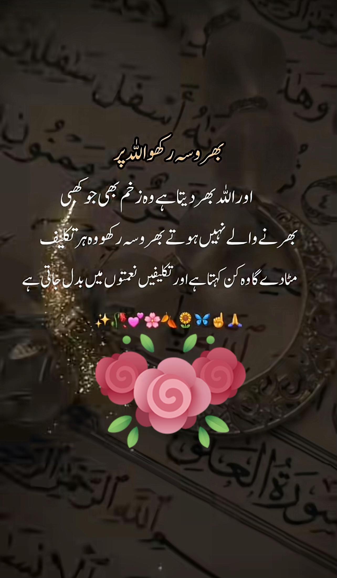 @Muzna&Musazain
