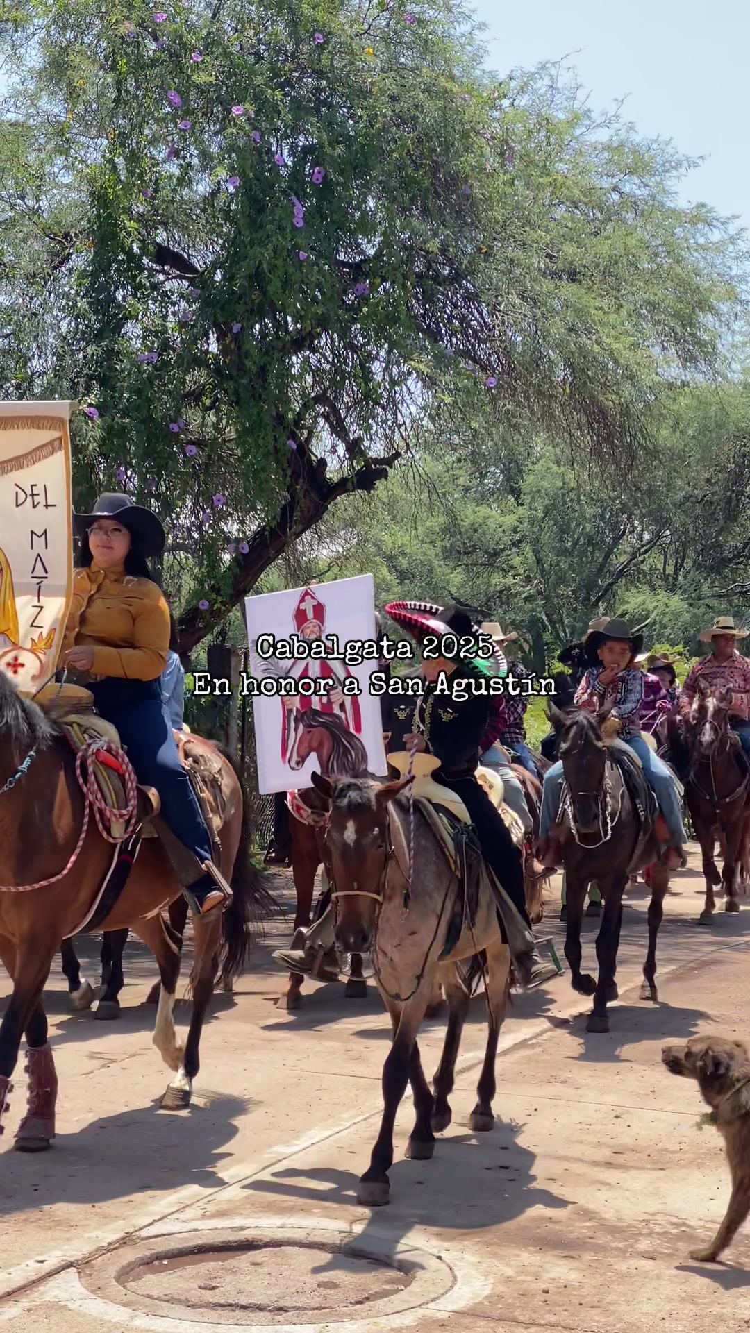 @San Agustín Del Maíz Oficial