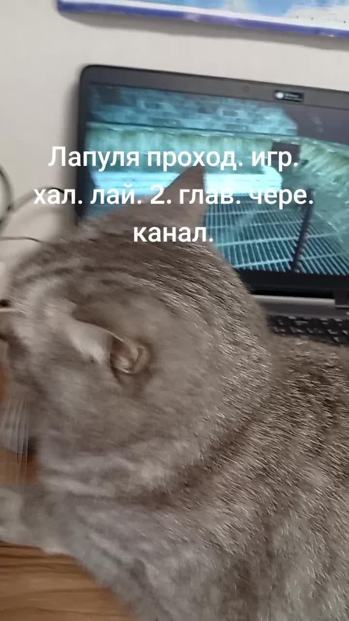 @Хонкантон