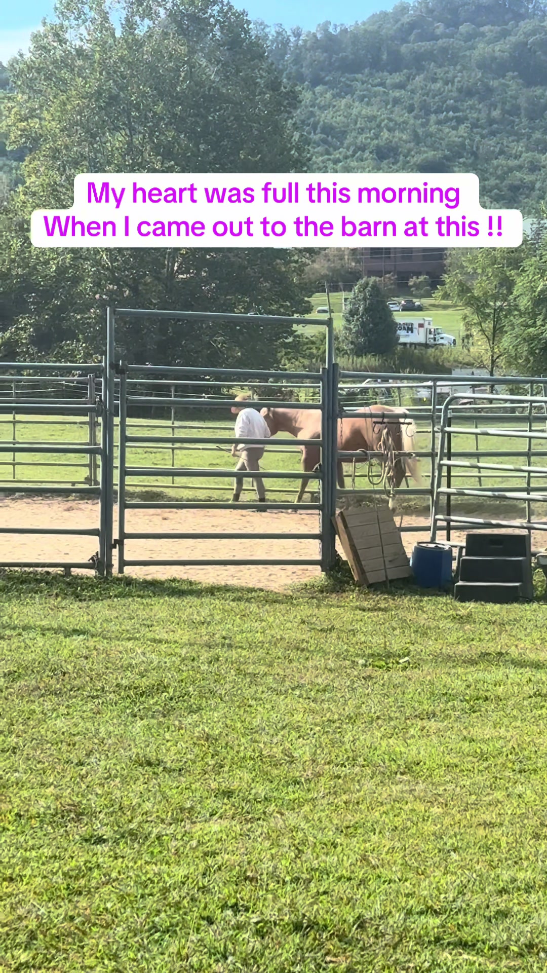 @Janet..Fuzzy.farm.gang