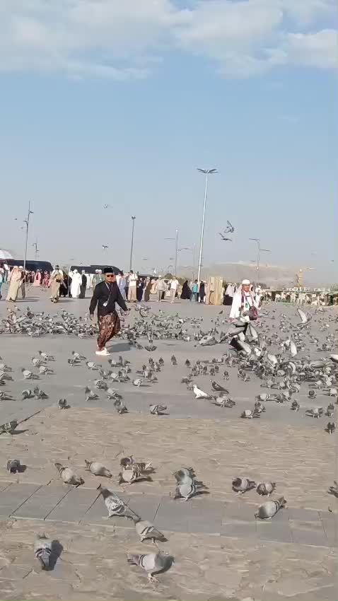 @Jazeer ali