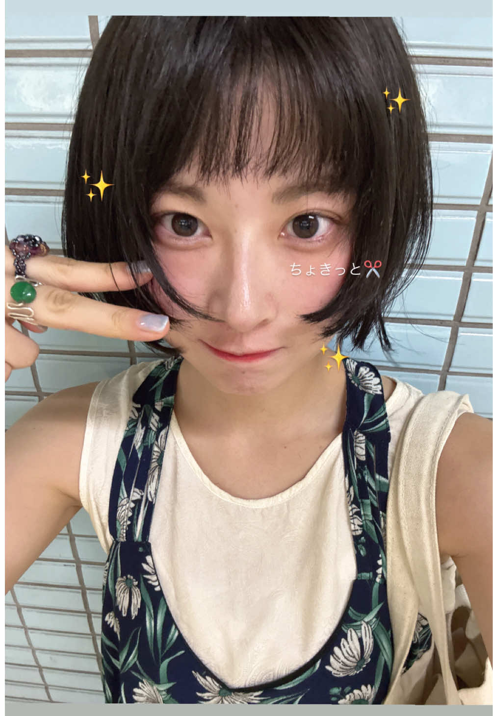 @毛玉ちゃん