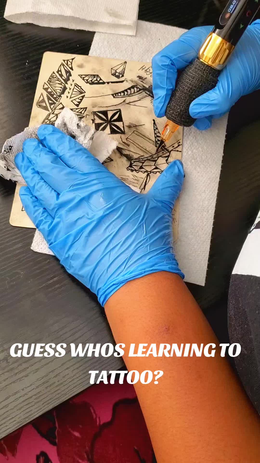 @Katoa Langi