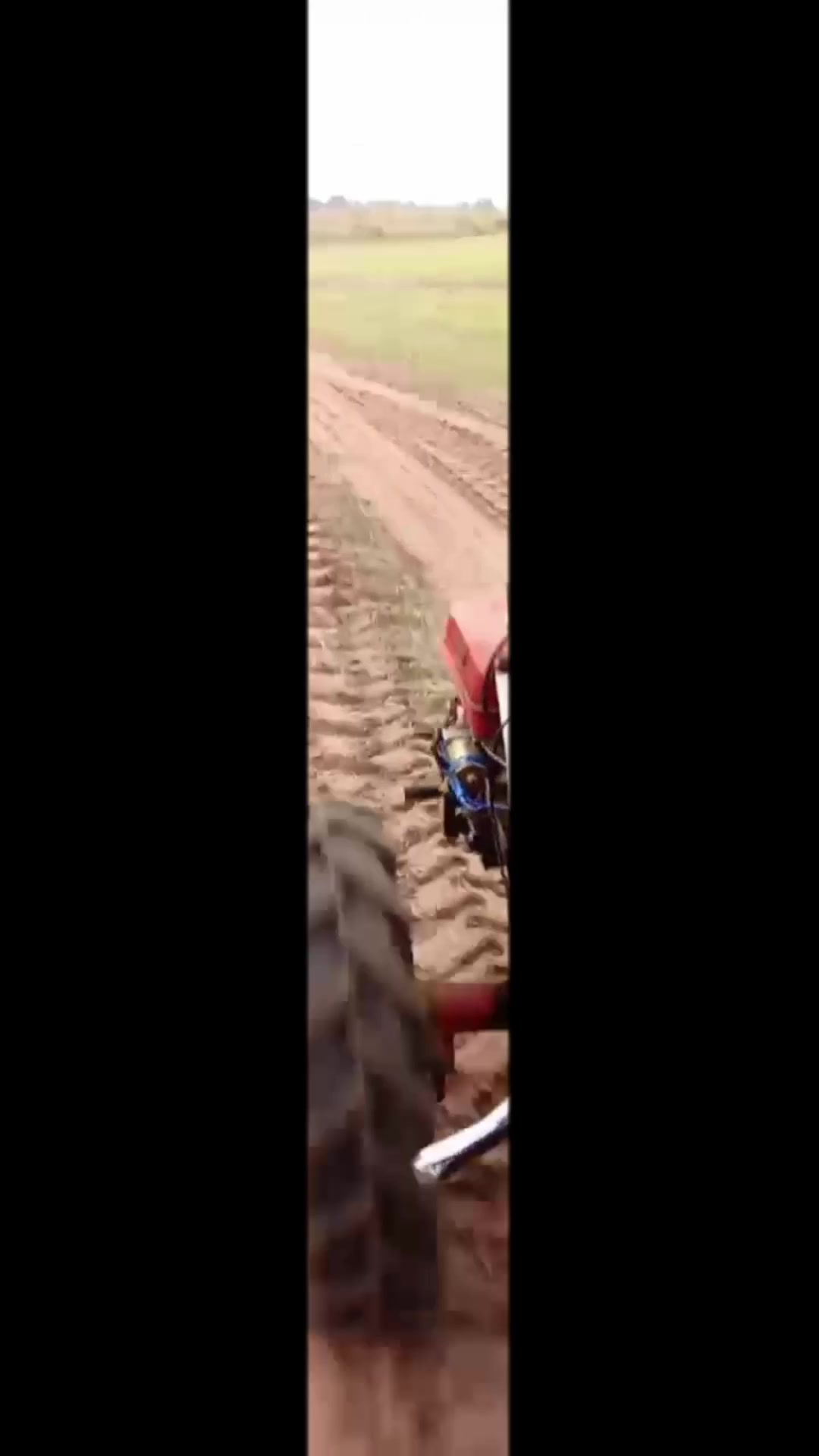 @Артур Купрацеаич