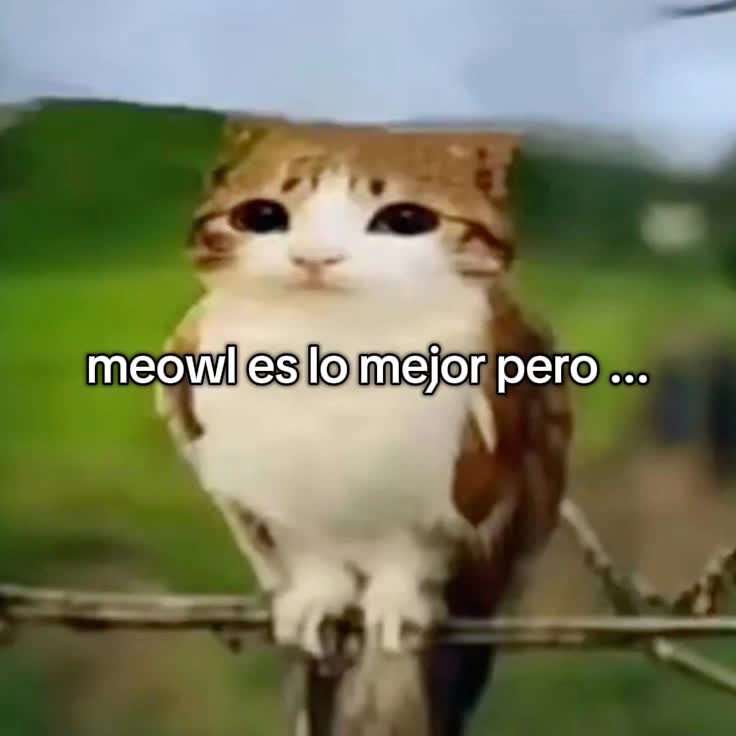 @Mag