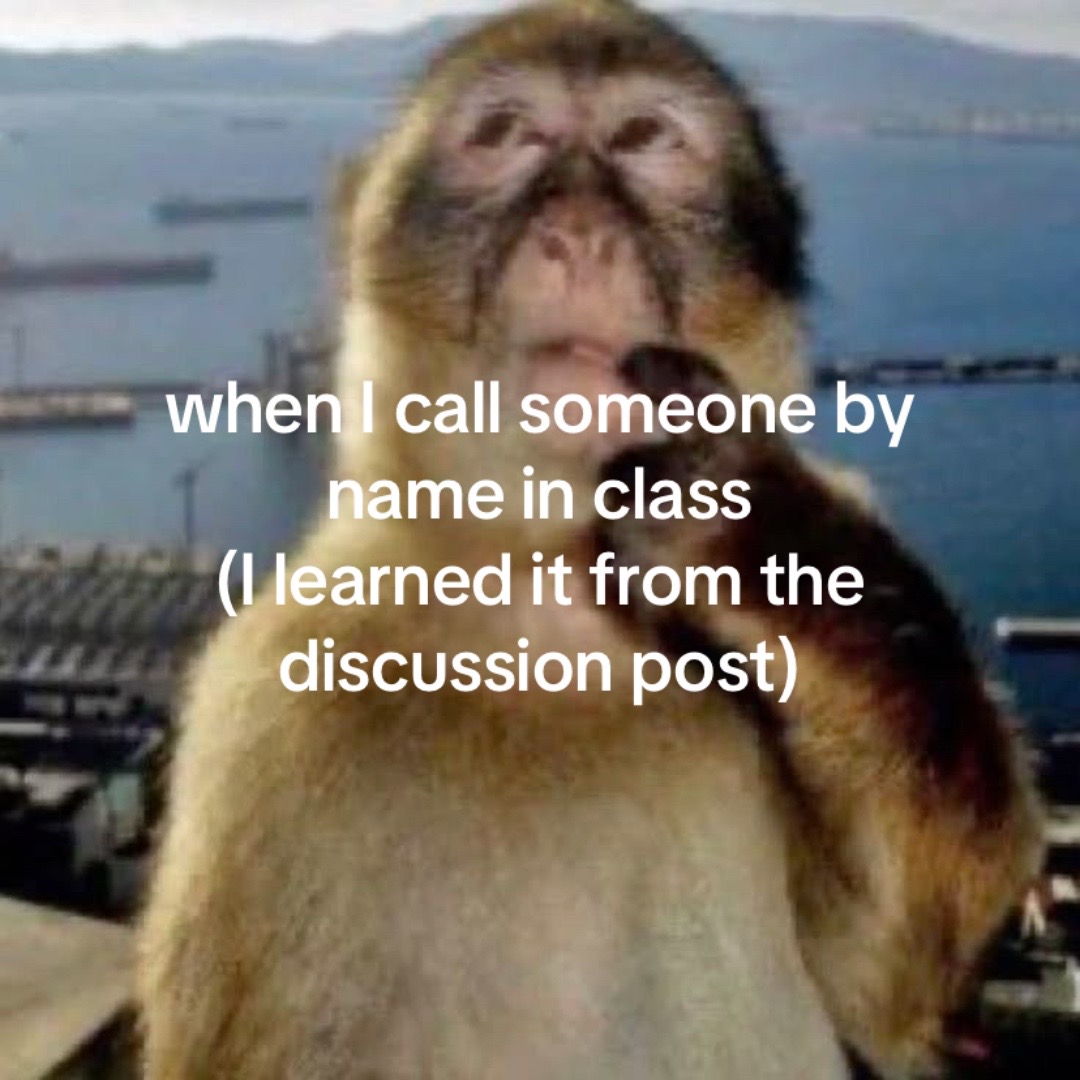@vilv