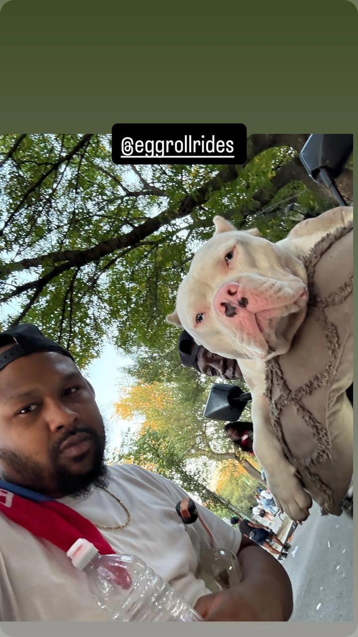 @eggrollrides