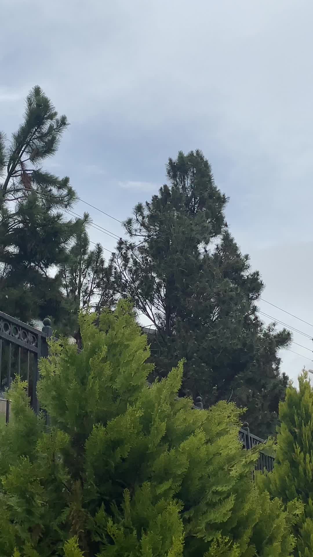 @Emircan Coşdan