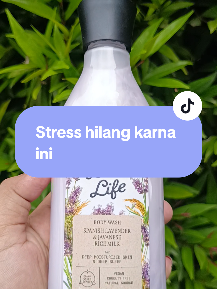 @Aminatus suci