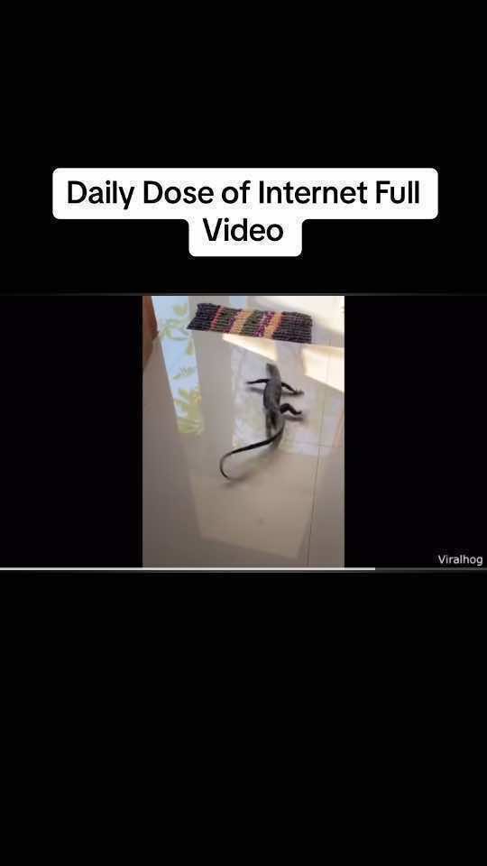 @TheDailyDoseRepost