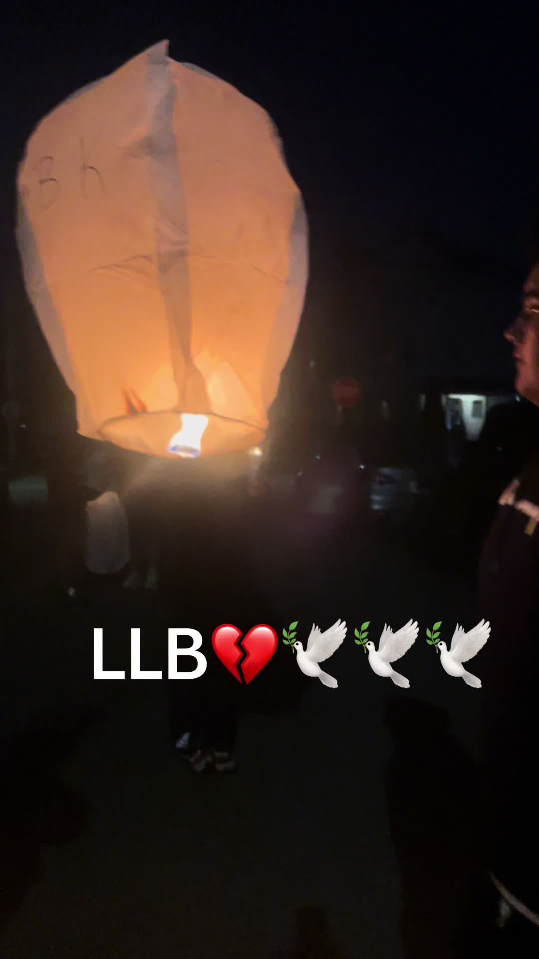 @D+L❤️♾️
