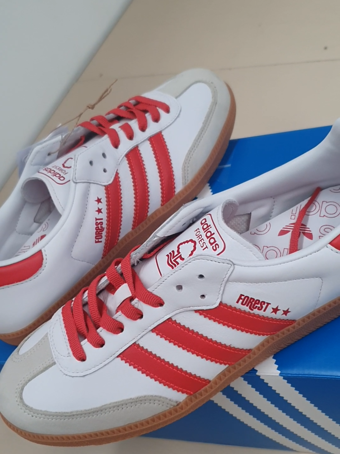 @Terrace Trainer Recovery