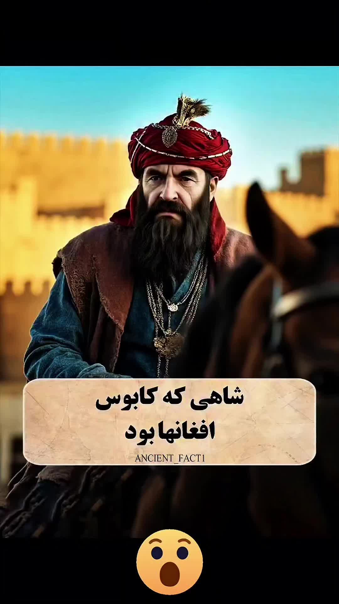 @فکت مغز