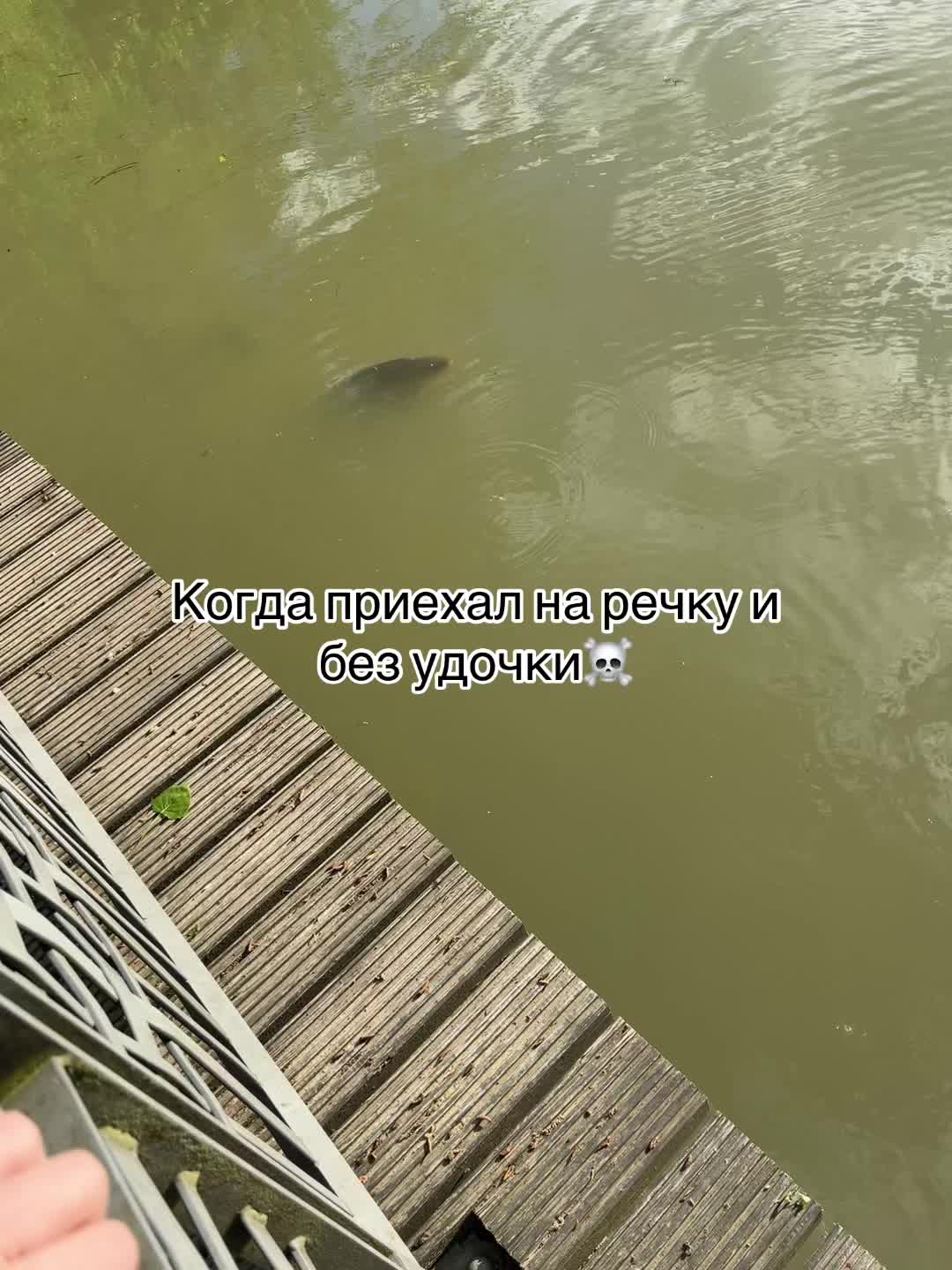 @Біленко старший 🤍