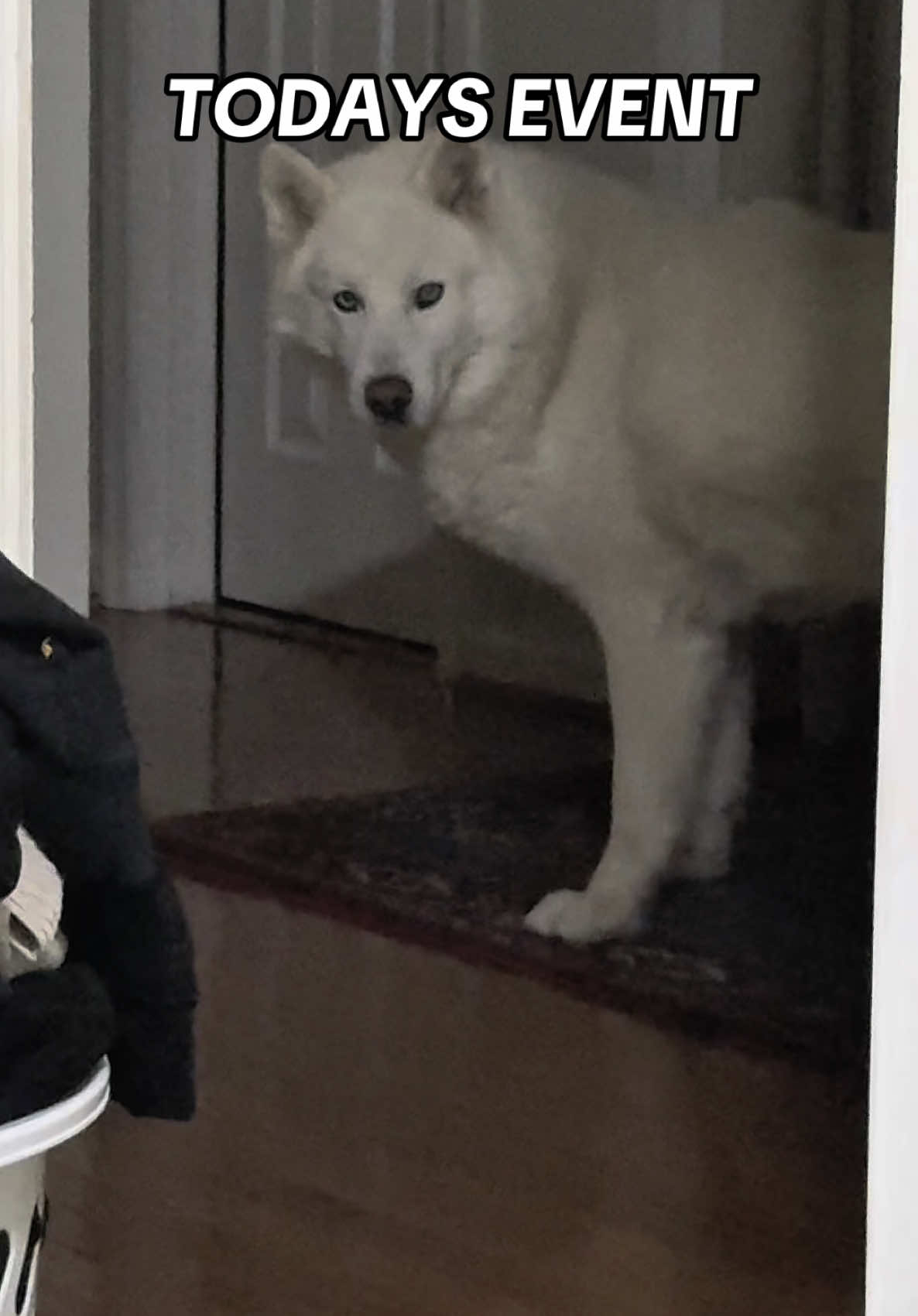 @Tundra