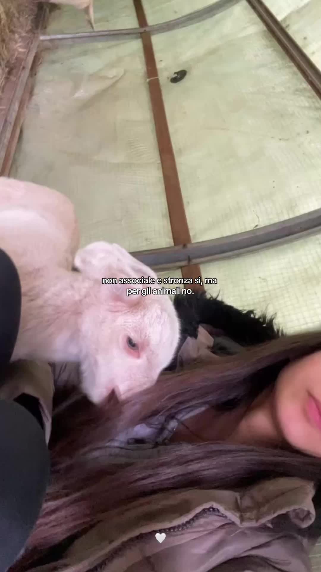@ilarydaldini