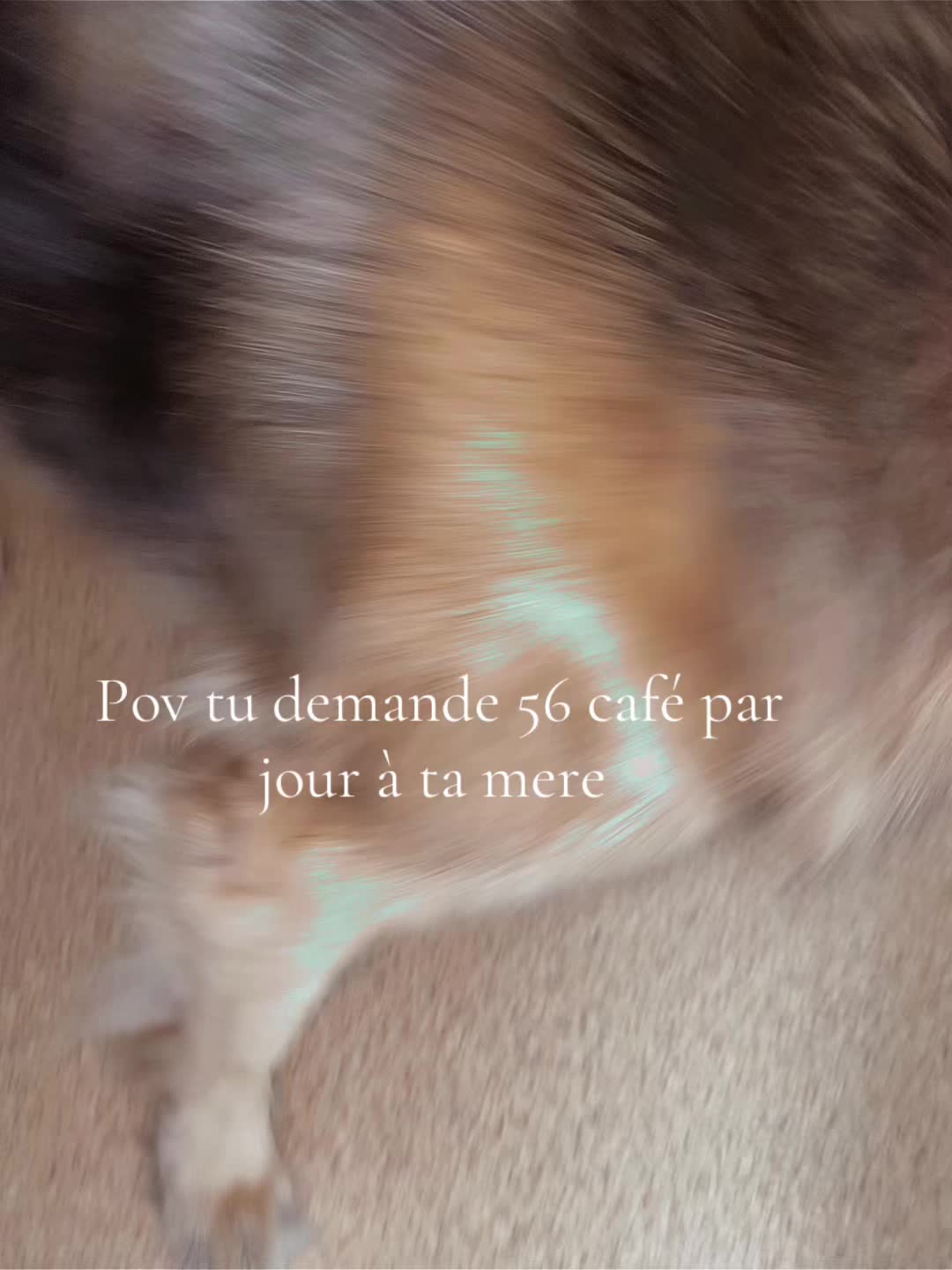 @Lucie Manon