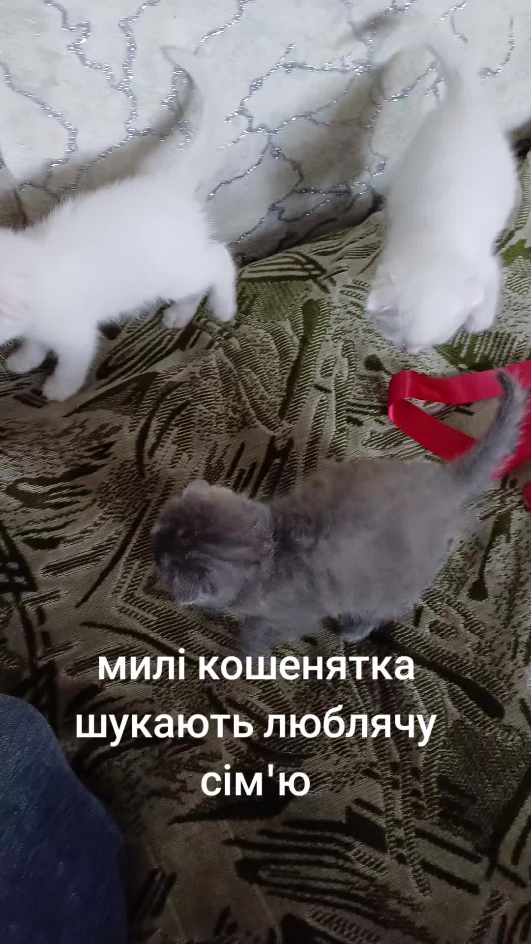 @Анна