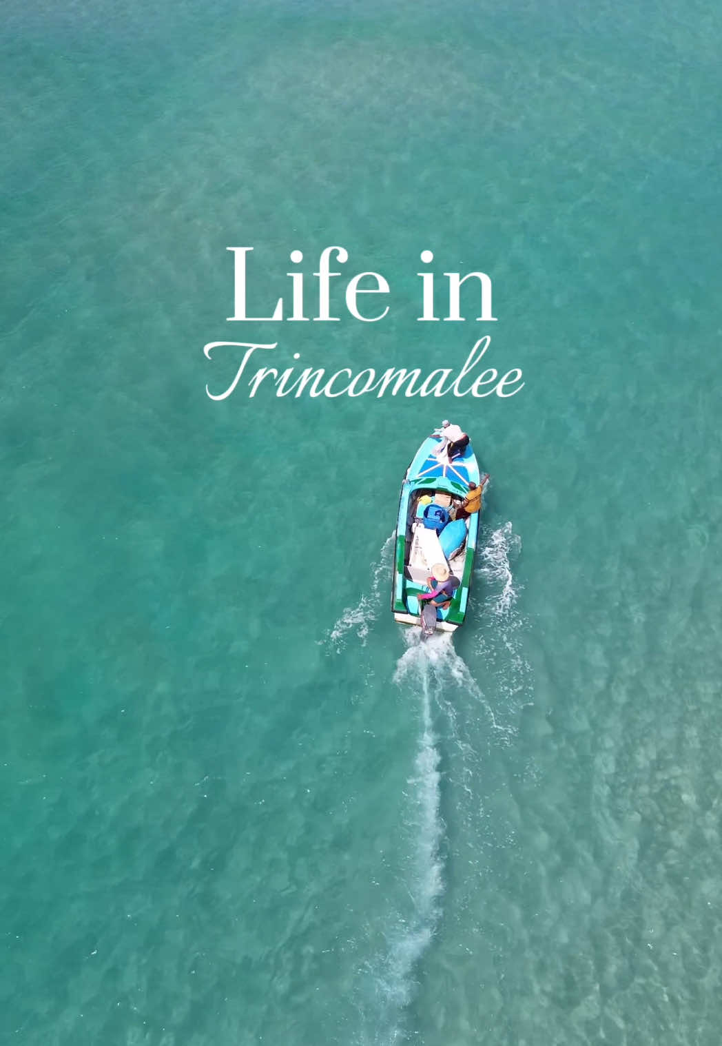 @Trip with Me