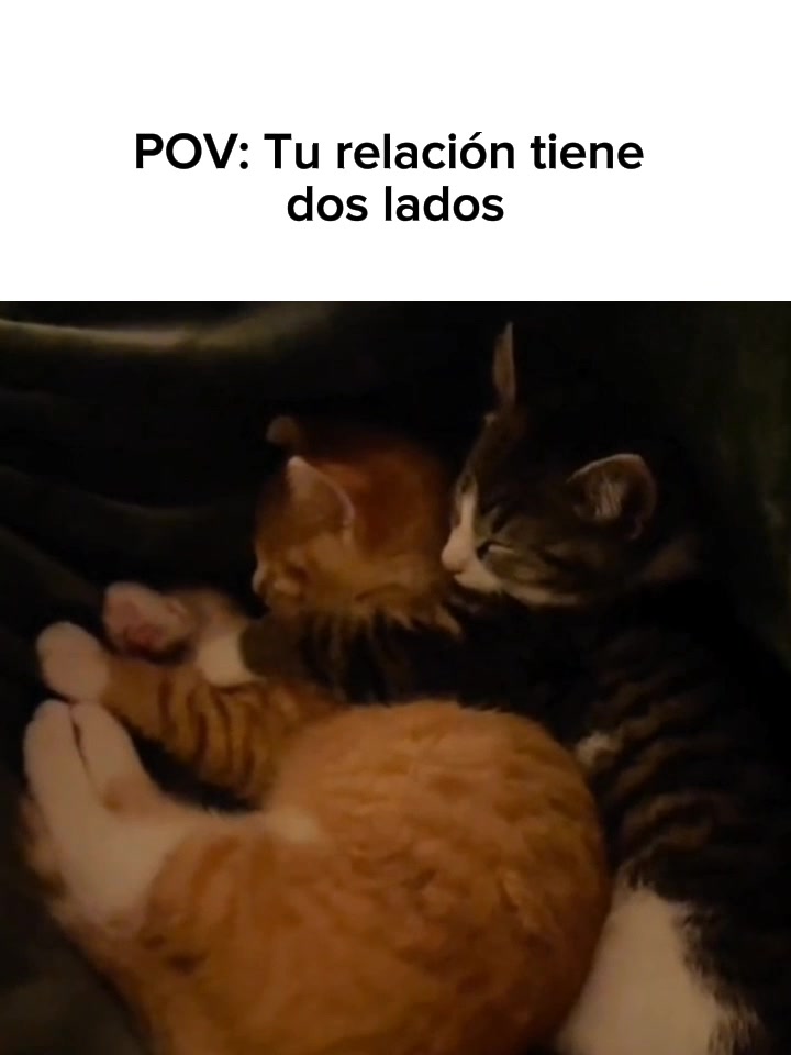 @goodvibessxd