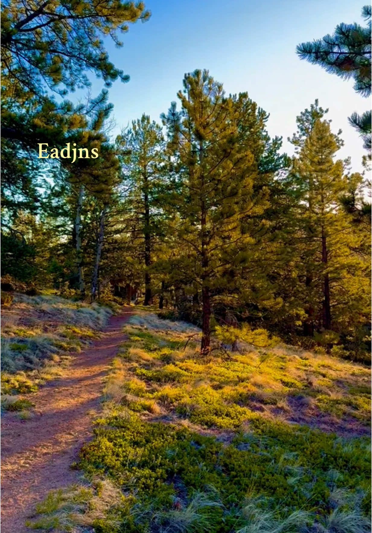 @eadjns