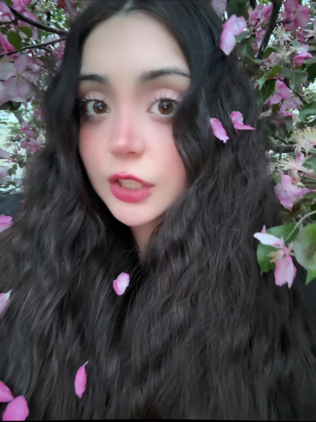 @ДЖАМИ
