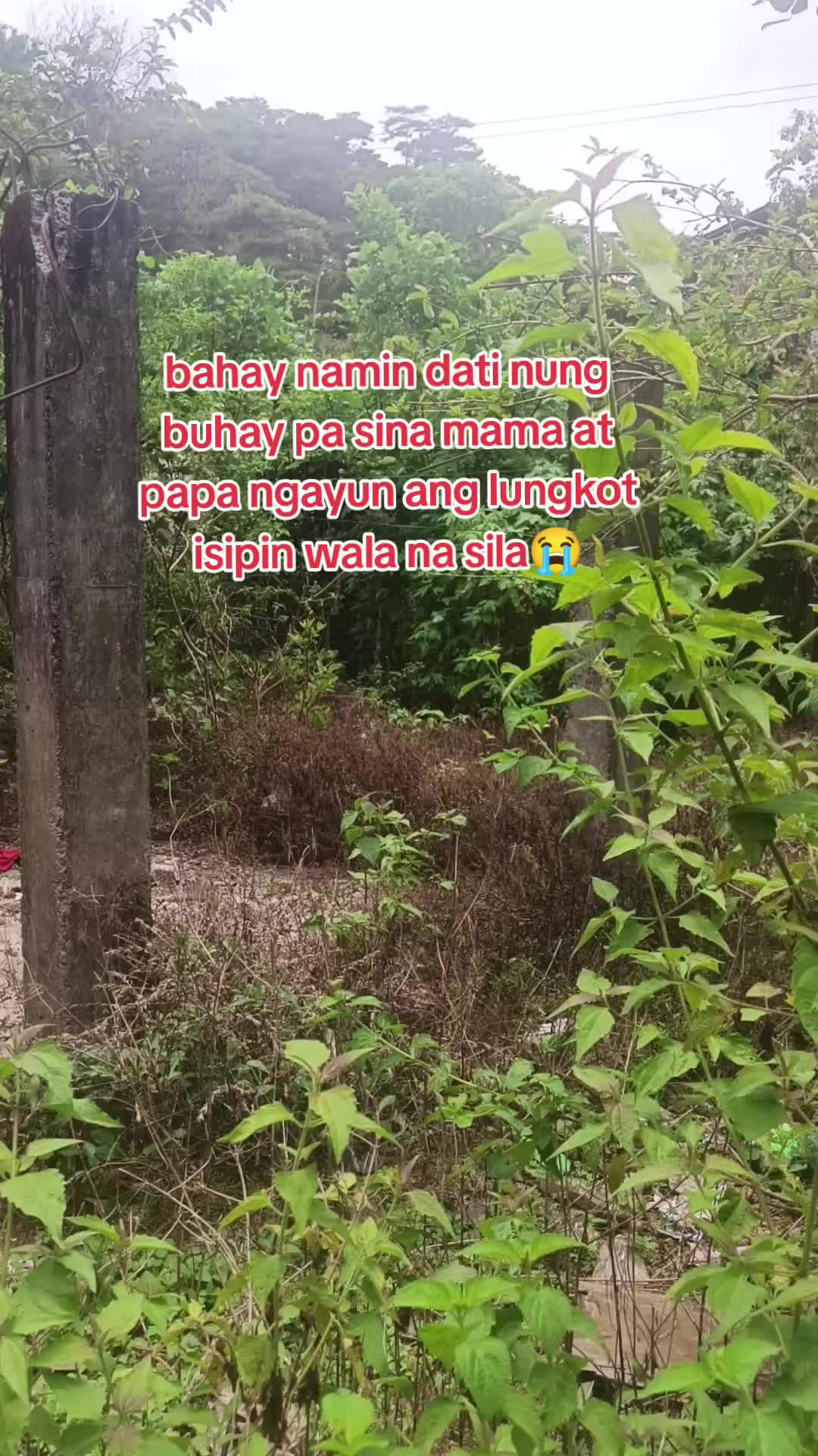 @Rimando baden(Lion Heart)