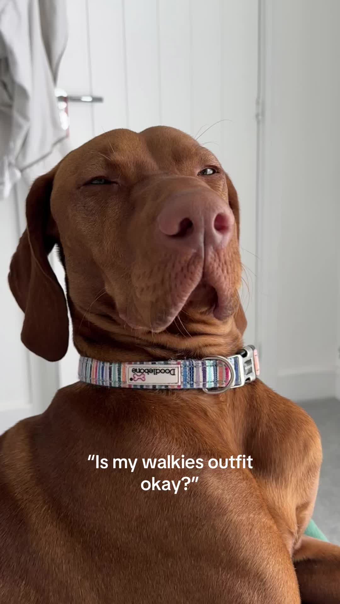 @vinnie