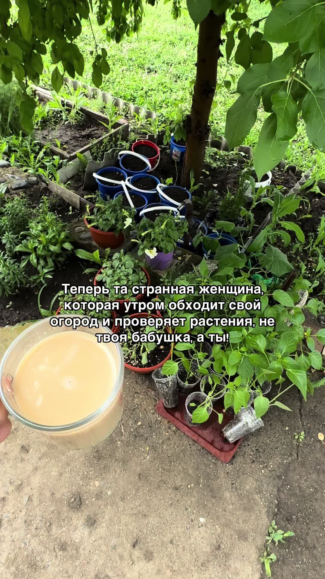 @Тамара