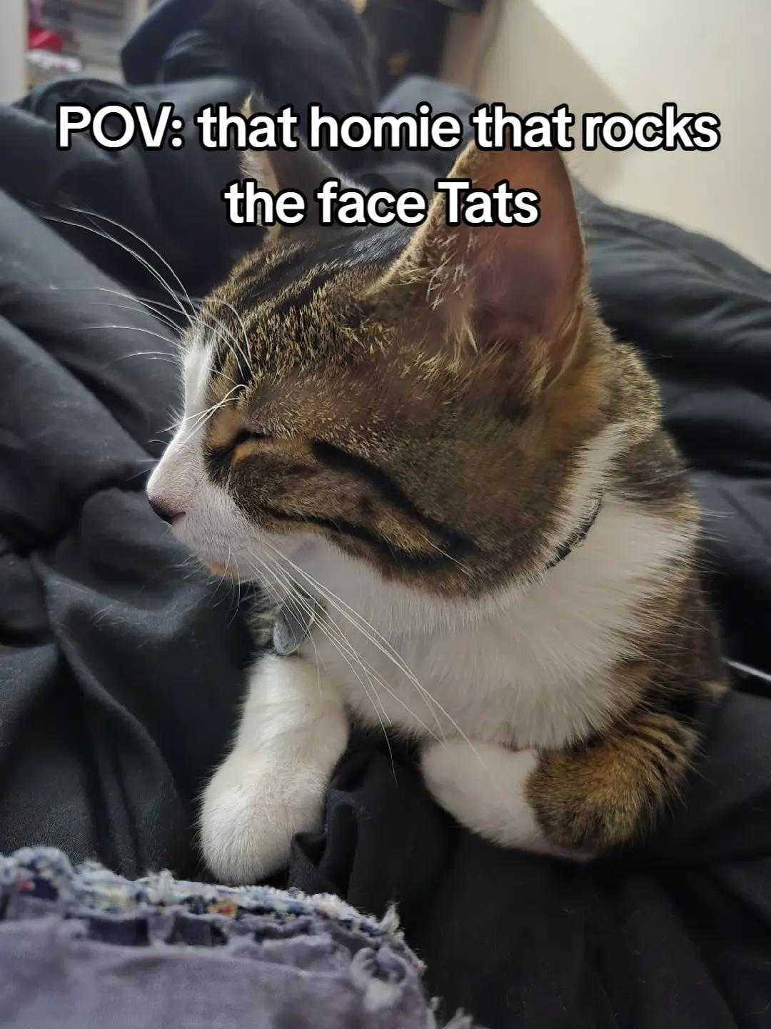 @ButterSocks