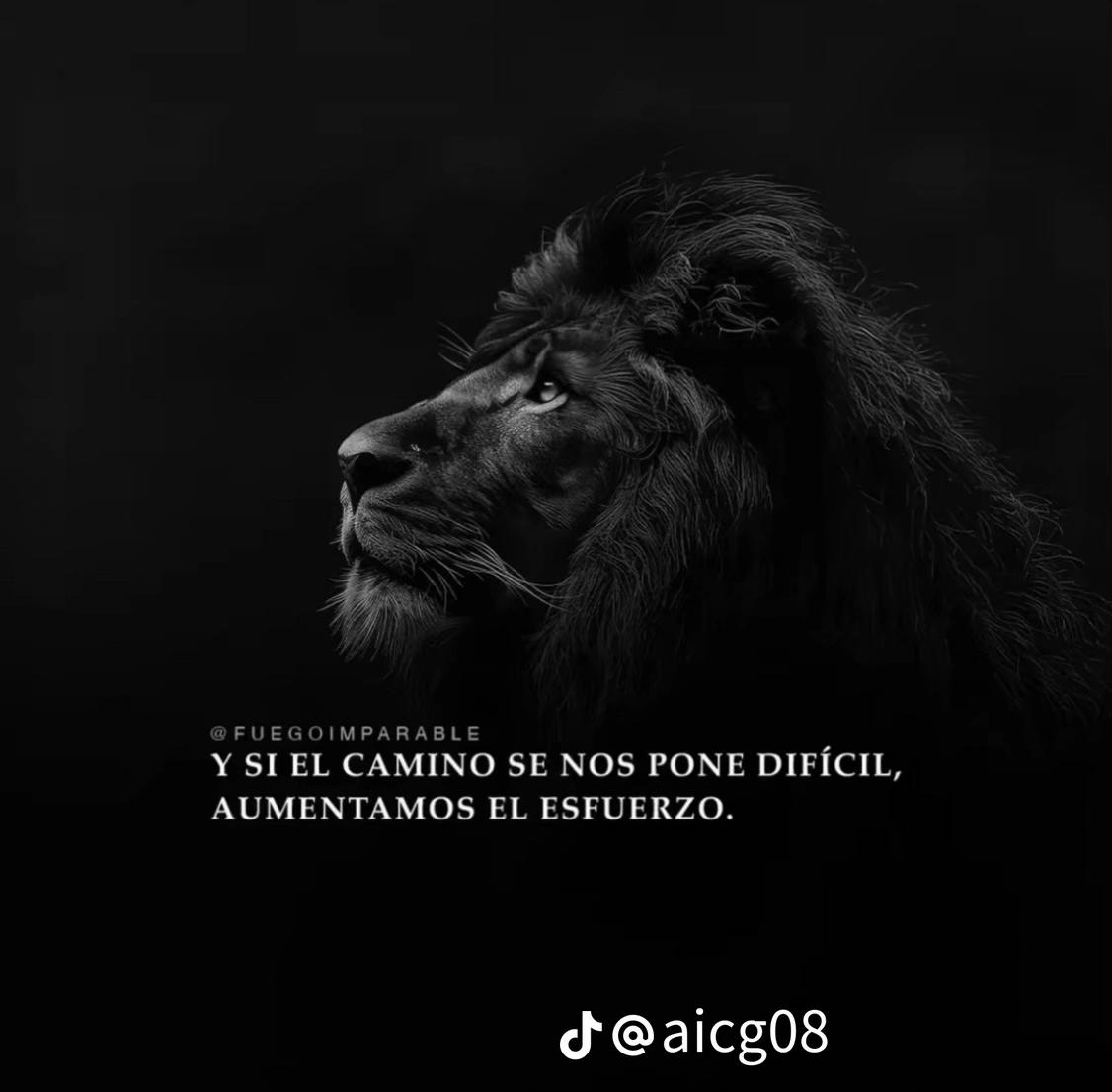 @angelcristaldo10
