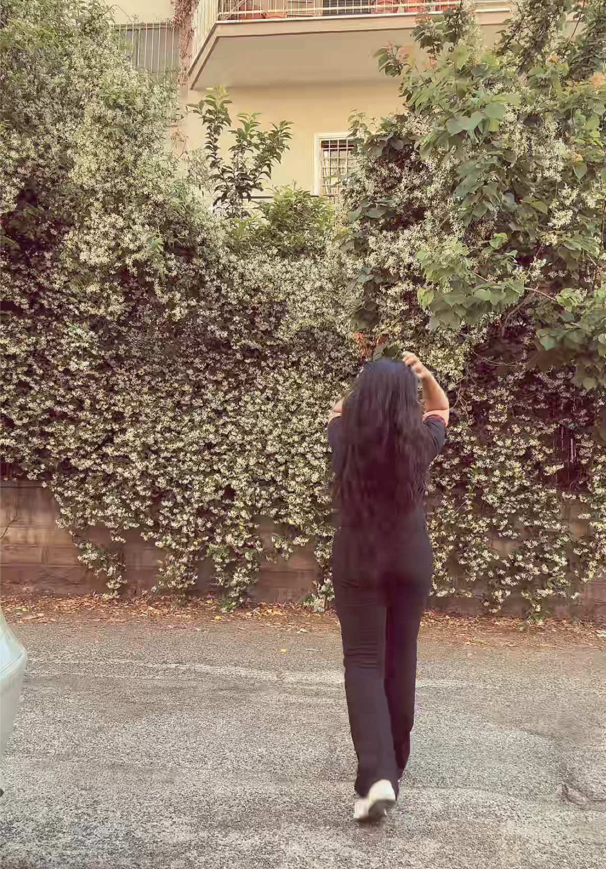 @𝓢𝓪𝔂𝓾𝓻𝓲🎀