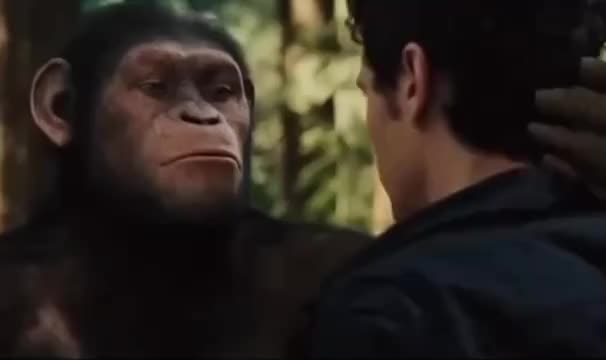 @TwitchRakkidaa