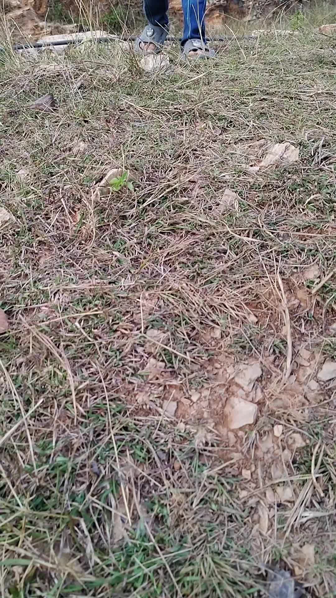 @Boby Kshetry (घुमन्ते❤️)
