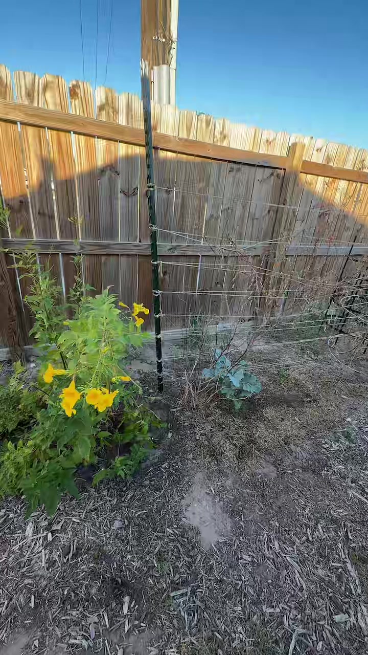 @themagicvalleygardener