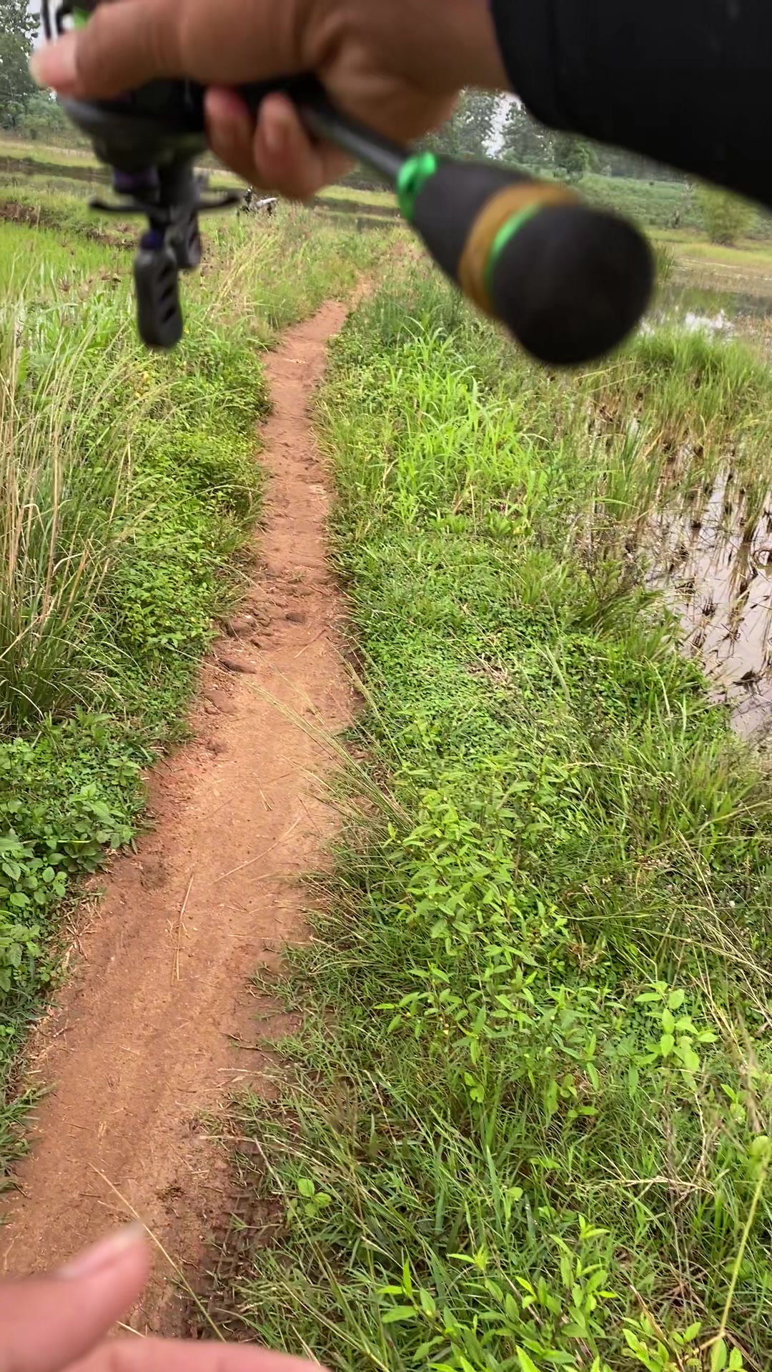 @stecu Fishing