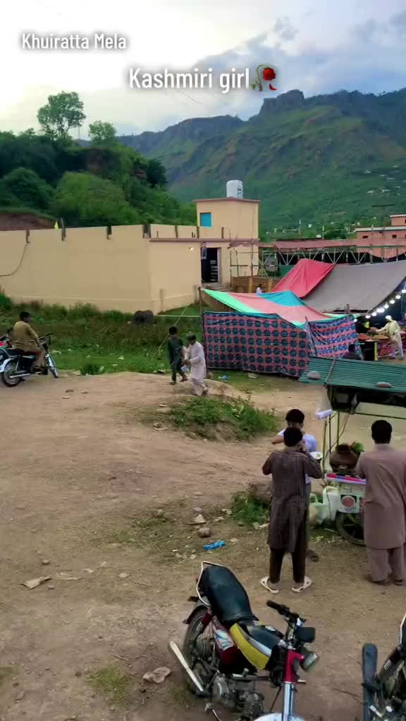 @kotli queen 👑