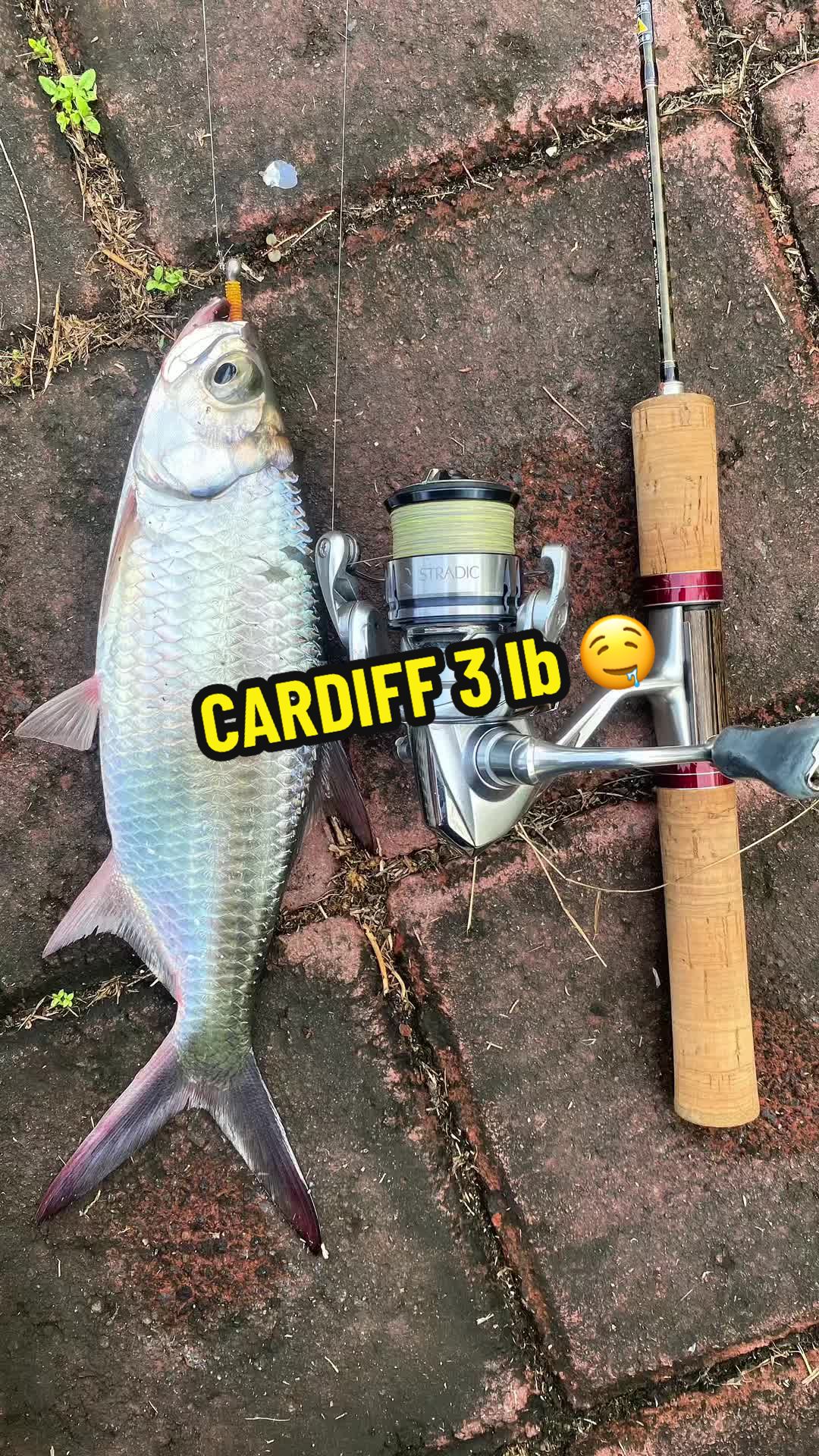@SLEDING TACKLE